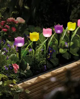 Svíčky a světelné dekorace 6 solárních tulipánů