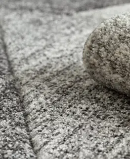 Koberce a koberečky Dywany Lusczow Kusový koberec FEEL Fish šedý, velikost 180x270
