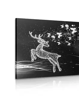 Černobílé obrazy Obraz nádherný jelen s motýly v černobílém provedení