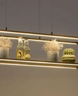LED lustry a závěsná svítidla PAUL NEUHAUS LED závěsné svítidlo, černá, 4-ramenné, dimmer, do interiéru 3000K