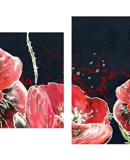 Obrazy květů 5-dílný obraz červené máky na černém pozadí