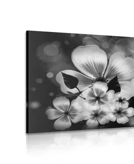 Černobílé obrazy Obraz fantazie květin v černobílém provedení