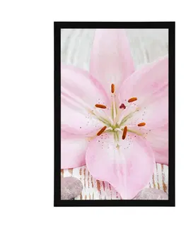 Feng Shui Plakát růžová lilie a Zen kameny