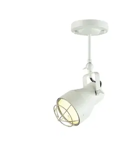 Industriální bodová svítidla ACA Lighting Spot nástěnné a stropní svítidlo EG169901CW