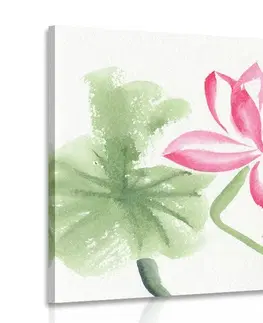 Obrazy květů Obraz akvarelový lotosový květ
