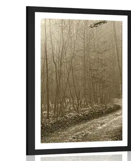 Příroda Plakát s paspartou sépiová cestička do lesa