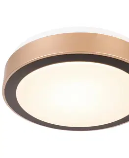 Stropní osvětlení Stropní LED svítidlo Rondo, P/v: 30/8cm