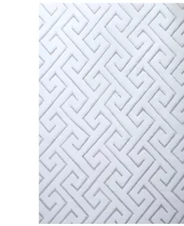 Hladce tkaný koberce Kožešinový Koberec 3d 160x230 Cm - Bílý/stříbrný
