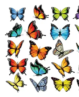 Samolepky na zeď Samolepící dekorace Butterflies, 30 x 30 cm