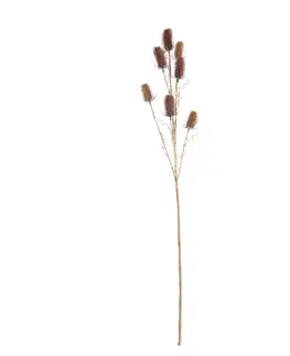 Umělé květiny Okrasný bodlák  110cm red beige