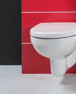 WC sedátka GEBERIT Duofix bez tlačítka + WC JIKA LYRA PLUS RIMLESS + SEDÁTKO DURAPLAST 111.300.00.5 LY1