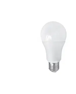 LED osvětlení  LED Žárovka PITT A60 AC/DC E27/12W/24V 4000K 