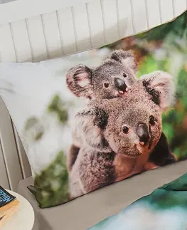 Povlečení 4Home Povlečení Koala bear renforcé, 140 x 200 cm, 70 x 90 cm