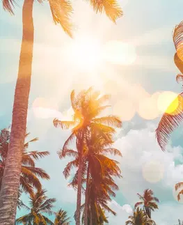 Samolepící tapety Samolepící tapeta paprsky slunce mezi palmami