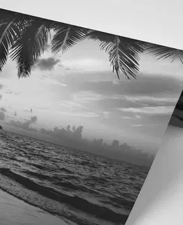 Černobílé tapety Fototapeta černobílá karibská pláž