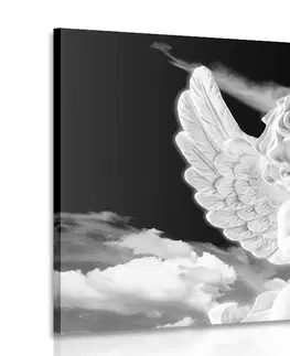 Černobílé obrazy Obraz černobílý pečlivý andílek na nebi