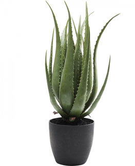 Umělé rostliny KARE Design Umělá rostlina Aloe 69cm