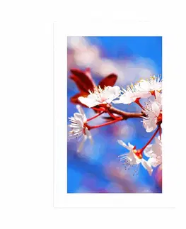 Květiny Plakát s paspartou třešňový květ