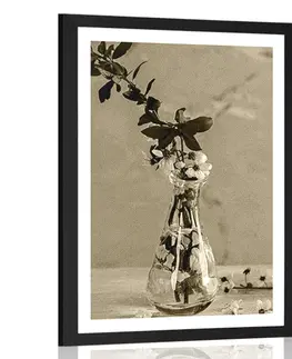 Černobílé Plakát s paspartou větvička třešně ve váze v sépiovém provedení