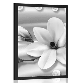 Černobílé Plakát luxusní magnolie s perlami v černobílém provedení