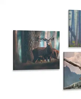 Sestavy obrazů Set obrazů zákoutí lesa