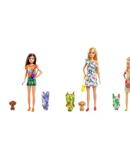 Hračky panenky MATTEL - Barbie Dha Sestra S Plavkami , Mix Produktů