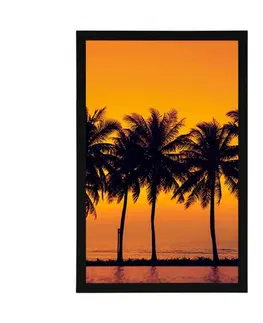 Příroda Plakát západ slunce nad palmami