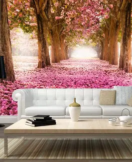 Tapety Samolepící tapeta růžová alej - Pink grove