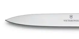 Kuchyňské nože Victorinox 6.7706.L114 10 cm