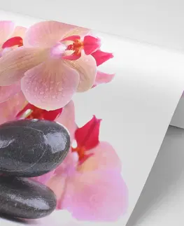 Samolepící tapety Samolepící fototapeta kameny a orchidej