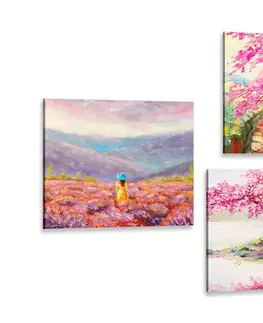 Sestavy obrazů Set obrazů nádherná imitace olejomalby v růžové barvě