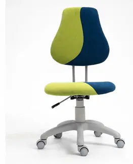 Dětské stoly a židle Dětská rostoucí židle RAIDON Tempo Kondela Modrá / zelená