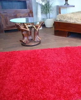 Koberce a koberečky Dywany Lusczow Kusový koberec SHAGGY Izebelie 5cm bordó, velikost 350x400