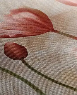 Obrazy květů Obraz starorůžové tulipány