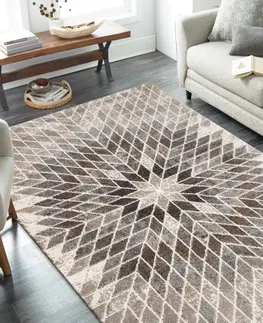 Moderní koberce Moderní designový béžový koberec s přírodními motivy Šířka: 240 cm | Délka: 330 cm