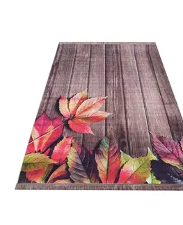 Moderní koberce Krásny pestrofarebný koberec s motívom lístia Šířka: 160 cm | Délka: 220 cm