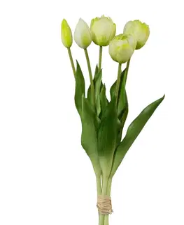 Květiny Umělý svazek tulipánů 5 ks, sv. bílá, v. 38 cm