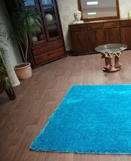 Koberce a koberečky Dywany Lusczow Kusový koberec SHAGGY Izebelie 5cm tyrkysový, velikost 400x400