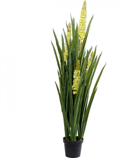 Umělé rostliny KARE Design Dekorativní rostlina Rhynchostylis 150cm