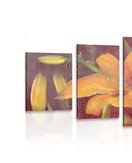 Obrazy květů 5-dílný obraz rozkvět oranžové lilie