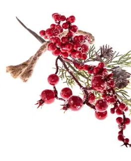 Vánoční dekorace Umělá zimní větvička Rose hip červená, 10 x 27 cm