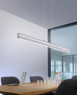 Inteligentní lustry Q-Smart-Home Paul Neuhaus Q-VITO trámové závěsné světlo, ocel