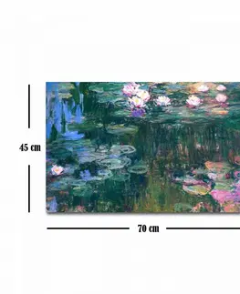 Obrazy Hanah Home Obraz WATER LILIES od C. MONETA 45x70 cm