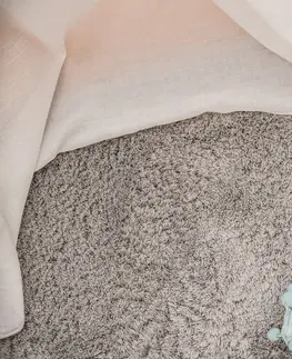 Koberce a koberečky Dywany Lusczow Kusový koberec SHAGGY MICRO stříbrný, velikost 80x150
