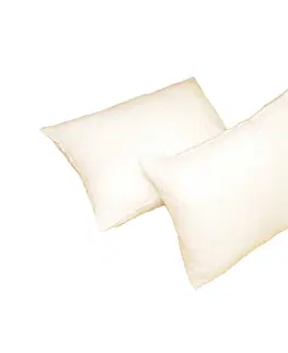 Přikrývky Forbyt  Výplň  do polštáře, bílý, 34 x 43 cm, obdélník