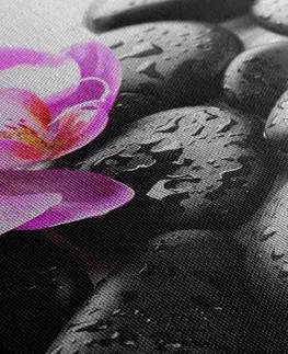 Obrazy Feng Shui Obraz kouzelná souhra kamenů a orchideje