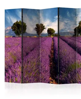 Paravány Paraván Lavender field in Provence, France Dekorhome 225x172 cm (5-dílný)