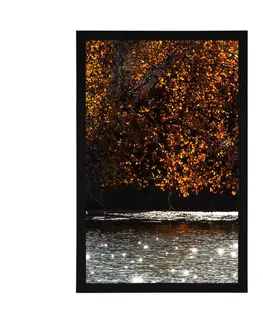 Příroda Plakát odraz listí v jezeře