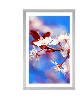 Květiny Plakát s paspartou třešňový květ