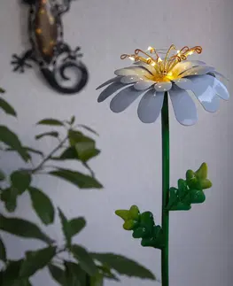 Solární dekorace na zahradu STAR TRADING LED solární světlo Daisy ve tvaru sedmikrásky